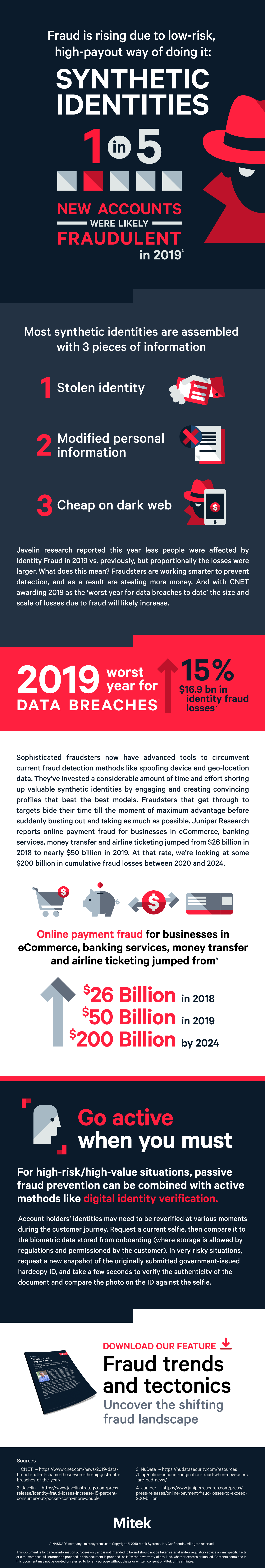 Synthetic Identities Fraud Infographic